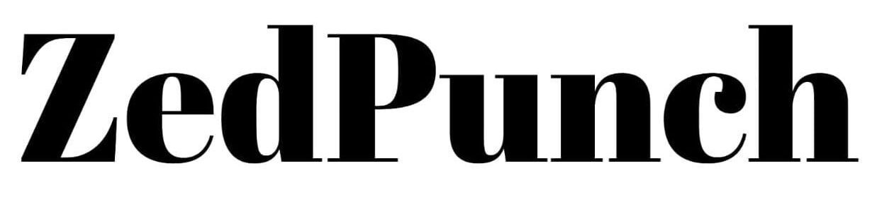 ZedPunch